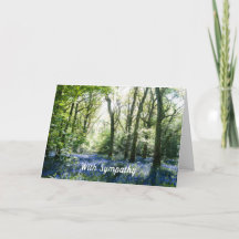Carte Sympathique Spring Sunbeams