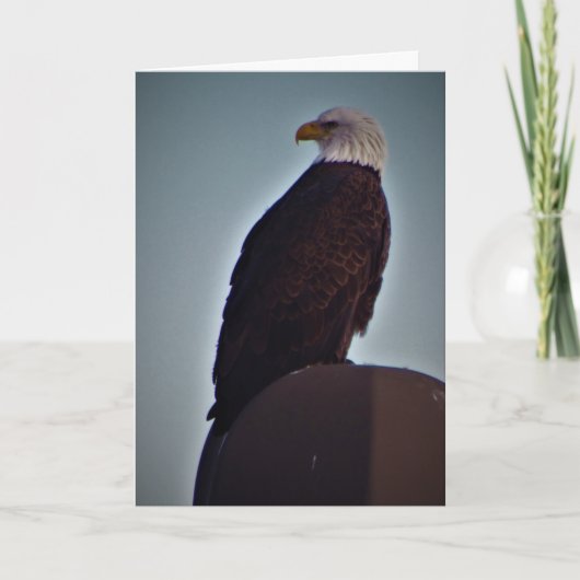 Carte Sympathique "Top Bird" (Devant)