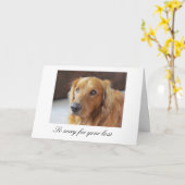 Carte Sympathy avec Golden Retriever (Fleur jaune)