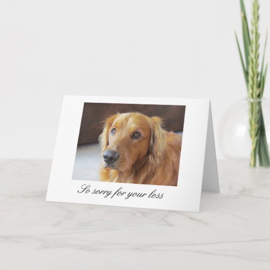 Carte Sympathy avec Golden Retriever (Devant)