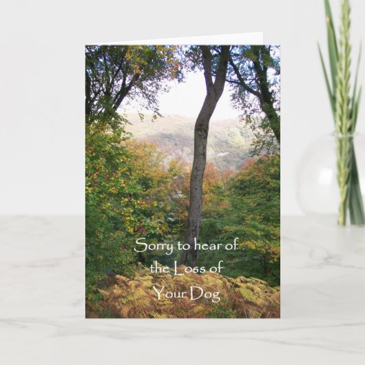 Carte Sympathy Card (Devant)