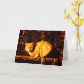 Carte Sympathy Card for Cat Owner (Fleur jaune)