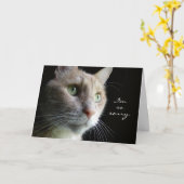 Carte Sympathy Cat (Fleur jaune)