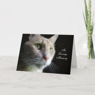 Carte Sympathy Cat