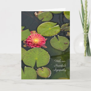 Carte Sympathy Dahlia dans les coussinets