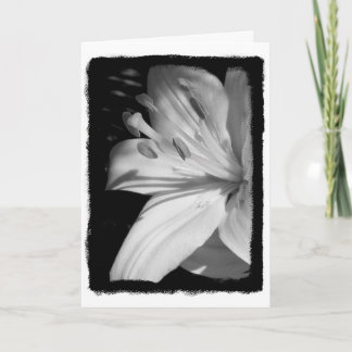 Carte Sympathy Lily