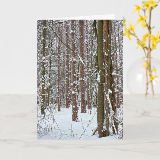 Carte Sympathy Tranquil Winter Forest (Fleur jaune)