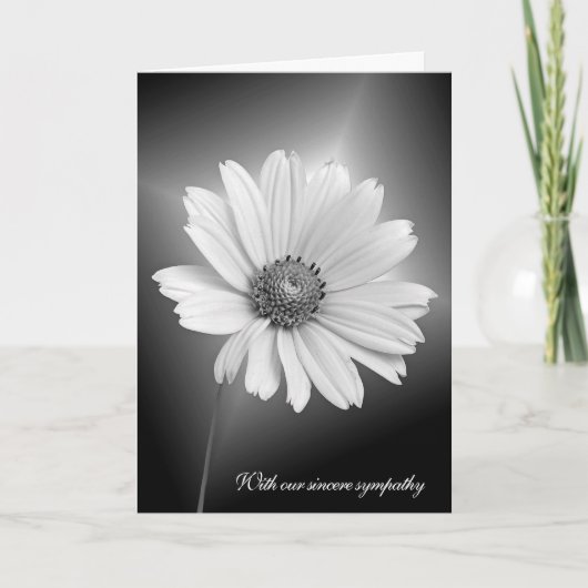 Carte Sympathy White Daisy With Light Beams (Devant)