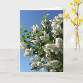 Carte Syringa, Arbre à fleurs blanc Lilac (Fleur jaune)