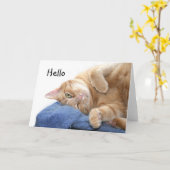 Carte Tabby (Fleur jaune)