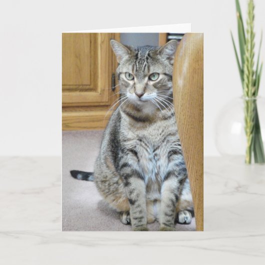 Carte Tabby Cat (Devant)