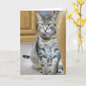 Carte Tabby Cat (Fleur jaune)