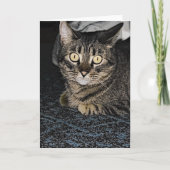 Carte Tabby Cat (Devant)