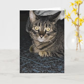 Carte Tabby Cat (Fleur jaune)