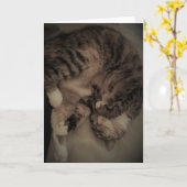 Carte Tabby Cat (Fleur jaune)
