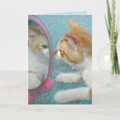 Carte Tabby Cat Anniversaire en miroir (Devant)