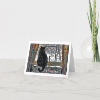 Carte Tabby Cat at Snowy Window