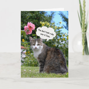 Carte Tabby Cat d'anniversaire