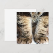 Carte Tabby cat Flat Card, Tabby, Tabby Legs, (Devant / Derrière)