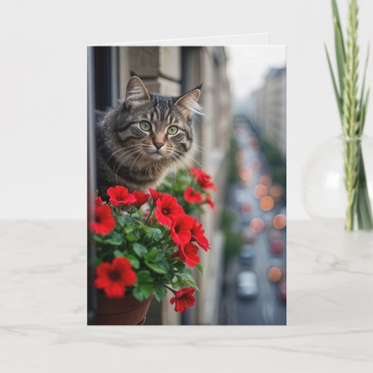 Carte Tabby Chat Anniversaire Dans La Fenêtre De L'Appar (Devant)