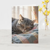 Carte Tabby Chat Anniversaire Dormir Sur Une Ancienne Pl (Fleur jaune)