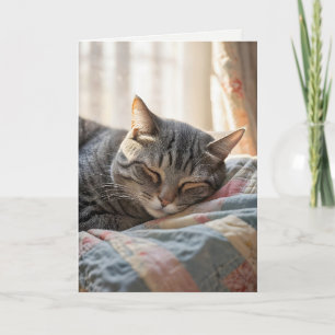 Carte Tabby Chat Anniversaire Dormir Sur Une Ancienne Pl