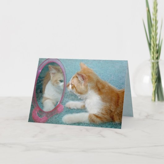 Carte Tabby Chat Anniversaire Obtenir un vieil Humour (Devant)