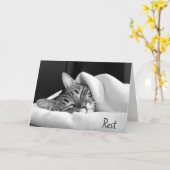 Carte Tabby Chat couché pour se bien bientôt (Fleur jaune)