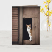 Carte Tabby Chat d'anniversaire à Shed Doorway (Fleur jaune)