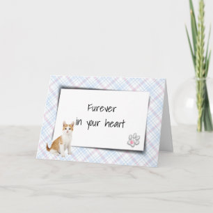 Carte Tabby Chat Sur Plaid Pet Perdre Sympathie