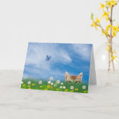 Carte Tabby chaton dans l'herbe humour d'anniversaire (Fleur jaune)