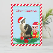 Carte Tabby de Noël Kitty Chat, Ange et Elfe mignonne su (Debout devant)