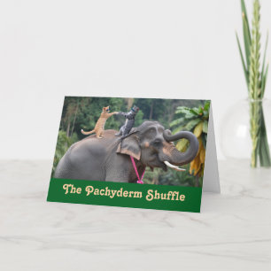 Carte Tabby Elephant Dance