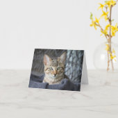 Carte Tabby Kitten (Fleur jaune)
