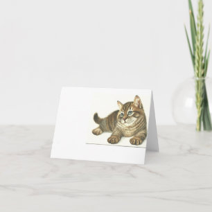 Carte Tabby Kitten