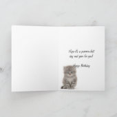 Carte Tabby kitten (Intérieur)