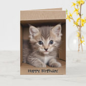 Carte Tabby Kitten Anniversaire En Boîte Carton (Fleur jaune)