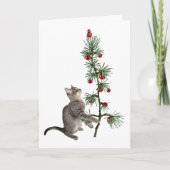 Carte Tabby Kitten Christmas Tree Card (Devant)