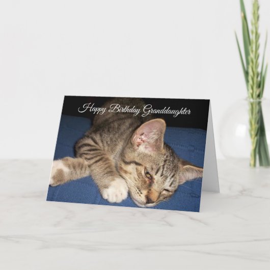 Carte Tabby Kitten Fille-fille personnalisée Anniversair (Devant)