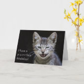 Carte Tabby Kitten Joyeux anniversaire (Fleur jaune)