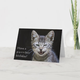 Carte Tabby Kitten Joyeux anniversaire