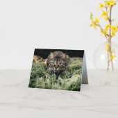 Carte Tabby le chat domestique (Fleur jaune)