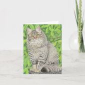 Carte Tabby Longhair (Devant)