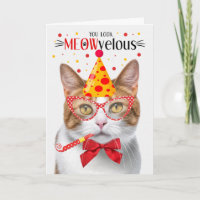 Tabby orange et blanc chat MEOWvelous Anniversaire