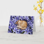Carte Tabby orange et lentilles (Fleur jaune)