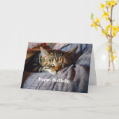 Carte Tabby Tabby Chat Couché Cute Photo Anniversaire (Fleur jaune)