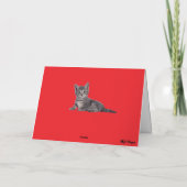 Carte Tabby Tulips (Dos)