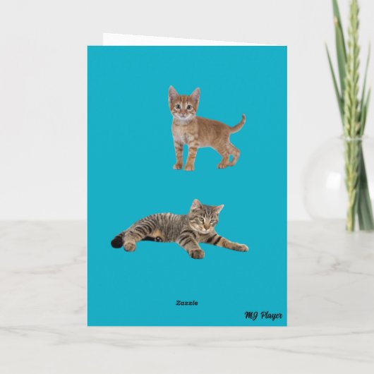 Carte Tabby Twist (Dos)