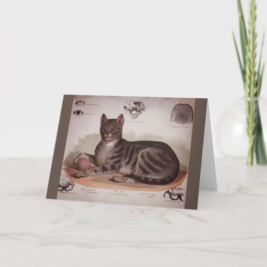 Carte Tableau antique de chat (Devant)