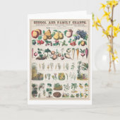 Carte Tableau botanique vintage : Utilisation économique (Fleur jaune)